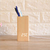 Simba - Pen Holder