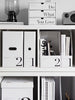 Scrito - File Rack